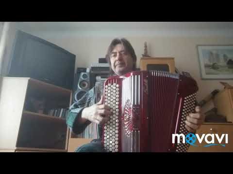 Баян,Аккордеон.Итальянский баян Scandalli.