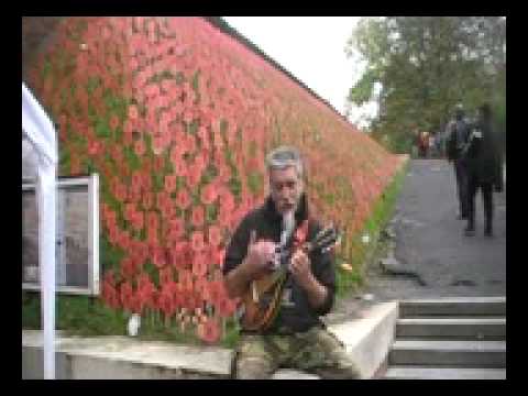 Lest We Forget - STEViE One Bloke One Mandolin