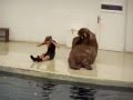 Walrus Fitness