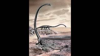 These strange animals once lived on OUR PLANET! #prehistoric