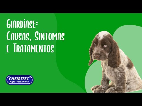 Giardíase: Causas, Sintomas e Tratamentos
