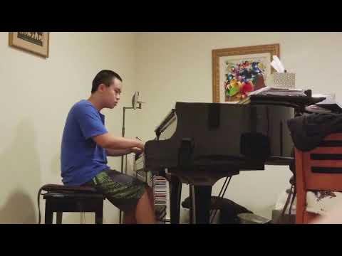 By the Fireside (Am Kamin) (Schumann Op.15, no.8 )