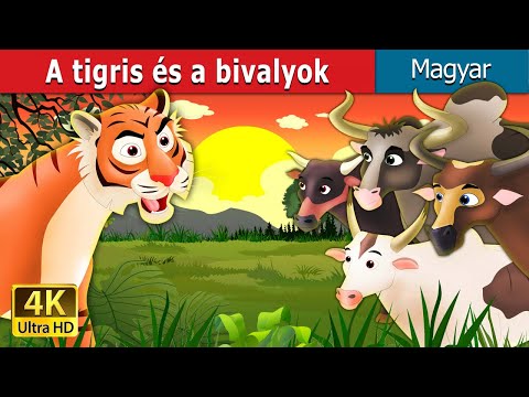 , title : 'A tigris és a bivalyok | Tiger and Buffaloes in Hungarian | Magyar Tündérmesék'