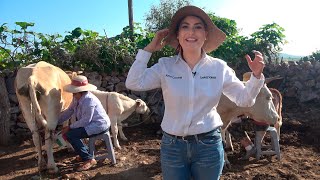 Como se hace el Queso fresco Ranchero