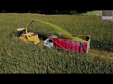 New Holland FX40 chopping corn silage in Michigan 2020
