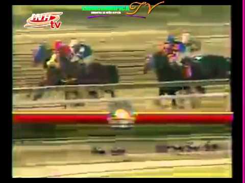 LA RINCONADA 11 CARRERA DOMINGO 07 DE DICIEMBRE DEL 2014