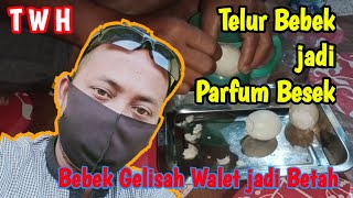 Download lagu 🔴 Membuat Parfum Alami sangat disukai Walet mp3