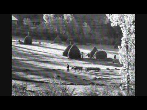 Bucovină plai cu flori