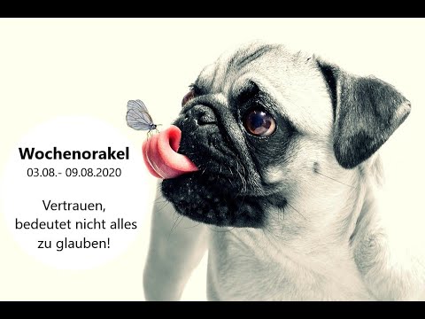 Wochenorakel 03.- 09.  August 2020 Vertrauen bedeutet nicht alles zu glauben!
