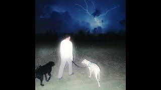 FELIVAND - Miss My Baby [Official Lyric Video]