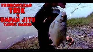 preview picture of video 'Terbongkar Trik & Umpan Jitu Mancing Ikan Tawes Babon | Lung Jedud'