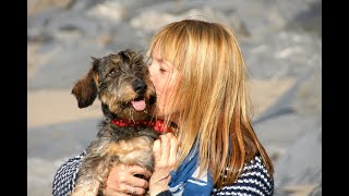 The Real Sausage Dog Song. Dedicated to Arthur the lunatic Dachshund xx