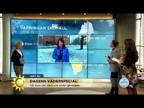 Väderspecial: Snö-varninar på flera håll - Nyhetsmorgon (TV4)
