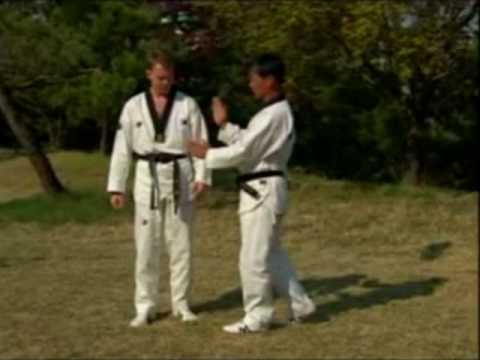 Formal Taekwondo: Knees and Shin Checks