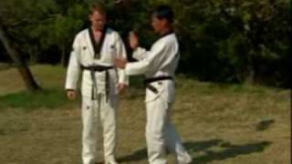 Formal Taekwondo: Knees and Shin Checks