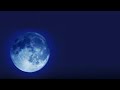 Manchester City - Blue Moon (Slowed + Reverb)