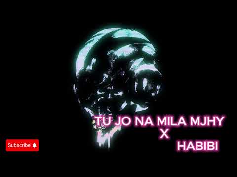 Asim Azhar Ft. Arshman Naeem - Jo Tu Na Mila x Habibi