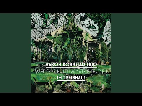 Apri La Tua Finestra!