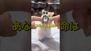 医者『余命あと10…』→患者、絶望の秒読みカウントダウンｗ #shorts