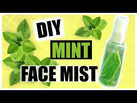 DIY Mint Face Mist for Acne, Oily Skin, Skin Toner, Blackheads, & Dry Skin