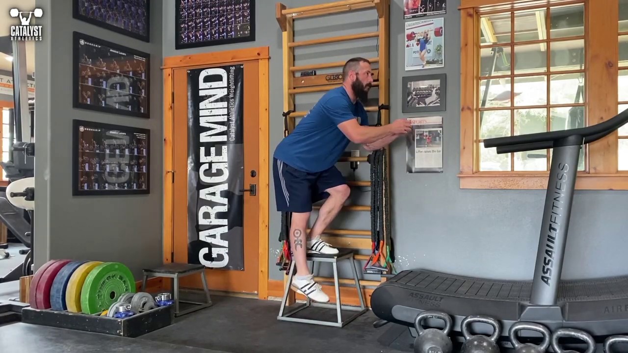Step-Down - Olympic Weightlifting Exercise Library: Demo Videos,  Information & More - Catalyst Athletics