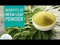 5 incredible benefits of neem leaf powder | How to make neem leaf powder