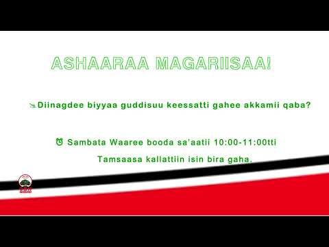 Ashaaraan Magariisaa Diinagdee Biyyaa Guddisuu keessatti gahee akkamii qaba?