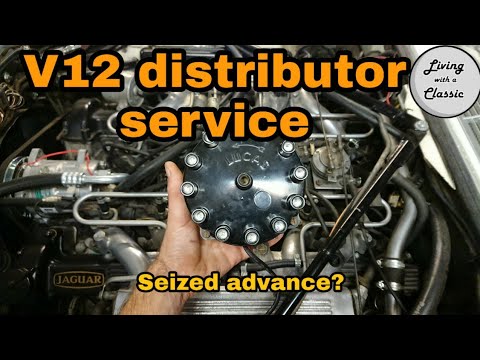 Jaguar V12 distributor Seized - Check and service V12 distributor - How to tune a Jaguar V12 Part 3