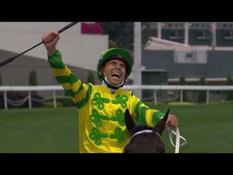 Golden Sixty named Horse of the Year at Hong Kong’s Champion Awards