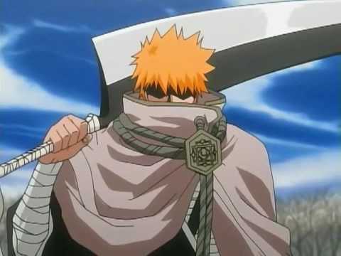 ichigo vs vice captains