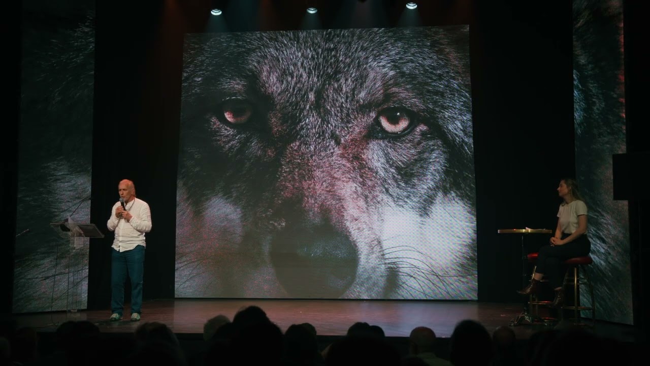 Sur la trace des invisibles : le loup et le lynx
