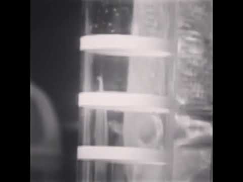 158. TeamSESH VK Video - YOU ARE ALL TO BLAME TEASER 5 [13.06.2016]