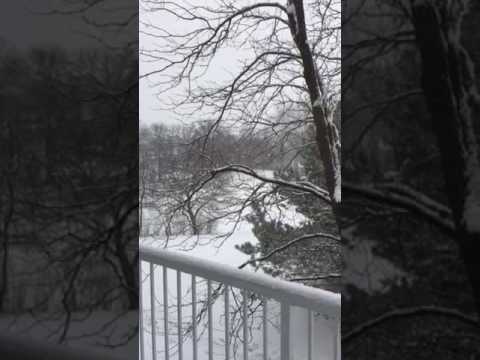 Snow, Eagan-Minnesota