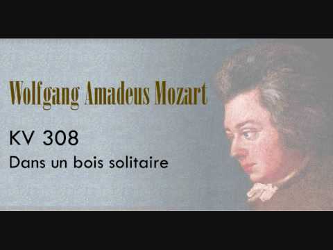 Mozart - Dans un bois solitaire KV 308.wmv