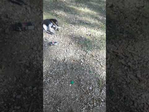 Change by lil pup feat Jsavage