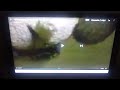 Shaun The Sheep Buzz Off Bees