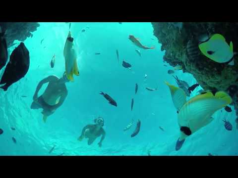 Chính chủ bán nhanh căn shophouse mặt tiền Võ Nguyên Giáp và nhà phố 52m