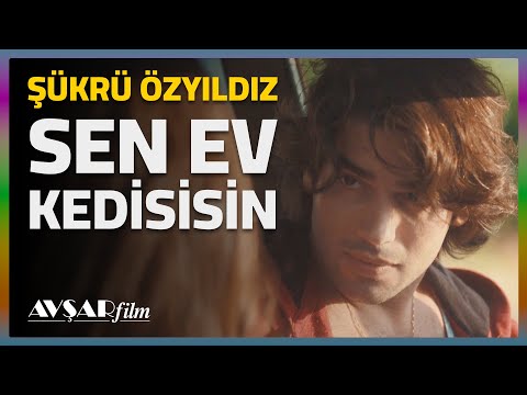 Sen Ev Kedisisin 🤨 | Şükrü Özyıldız | Sevimli Tehlikeli