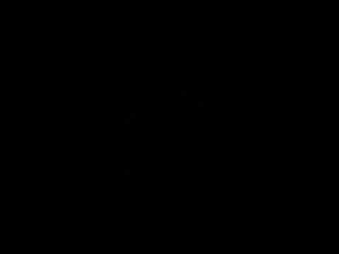 Do not despise prophesy