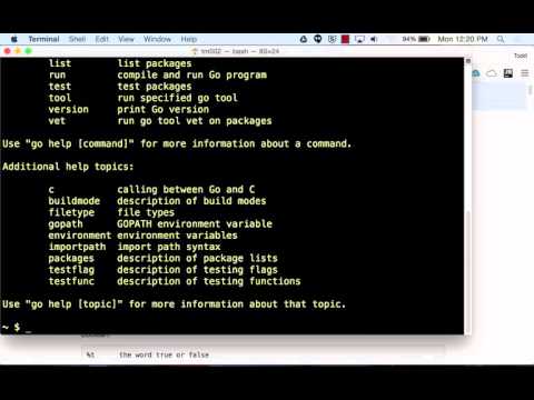 Introduction to Web Programming with Go – Templates & File Handling