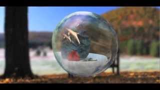 B.C. Bailey Funeral Home and Cremation Service of Wallingford, CT