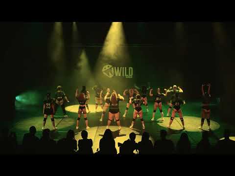 FINAL SHOW vol.2  - "GOODIES"