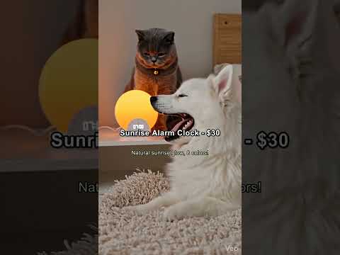 5 Genius Gadgets Under $50