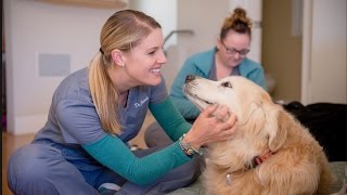 WesternU Alumni: Student Story - A Doctor in the House - Dr. Jaimie Sun Siegel (2017)
