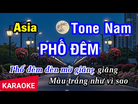 Karaoke Phố Đêm Tone Nam Gm (Asia) | Nhan KTV