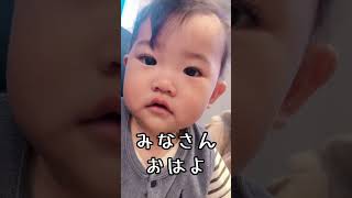 おはようございます🤗 #赤ちゃん #赤ちゃんのいる生活 #生後9ヶ月 #9ヶ月ベビー #男の子ベビー #クォーター #クォーターベビー #三兄弟 #末っ子 #shorts