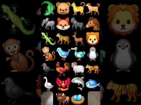 Abc alphabet song Zoo Animal...