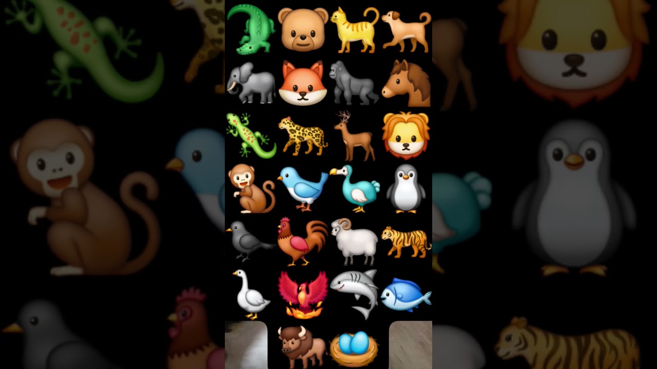 Abc alphabet song Zoo Animal...