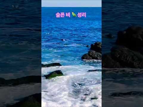 #슬픈비#성리#신곡뮤비
