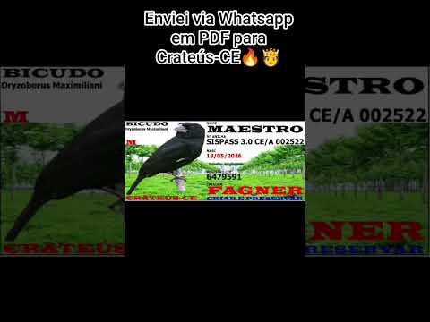Enviei via Whatsapp em PDF para Crateús-CE🔥🫅